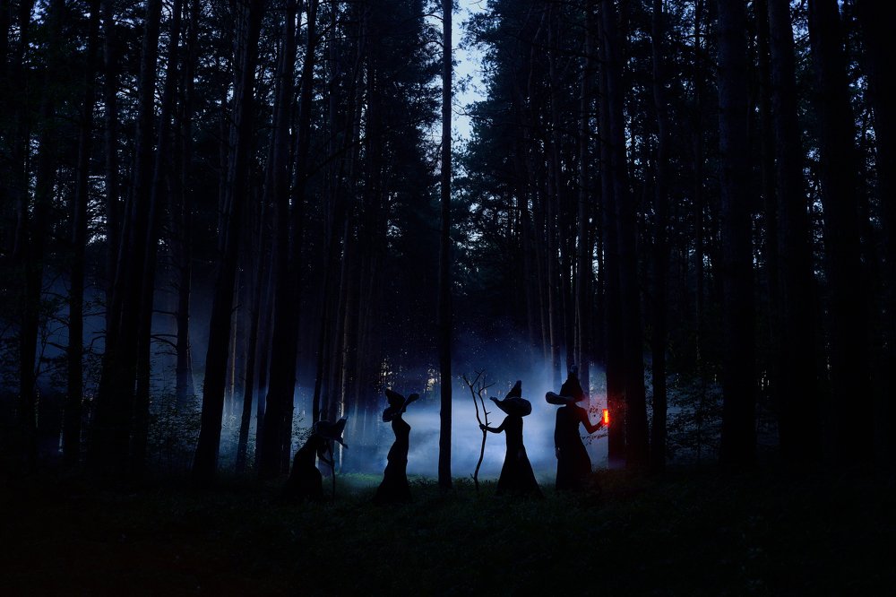 Фотография автора Александр Хазов