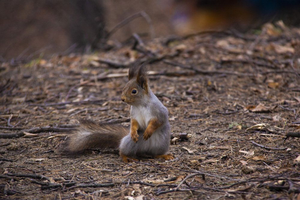 Photograph by Alena Poklonskaia