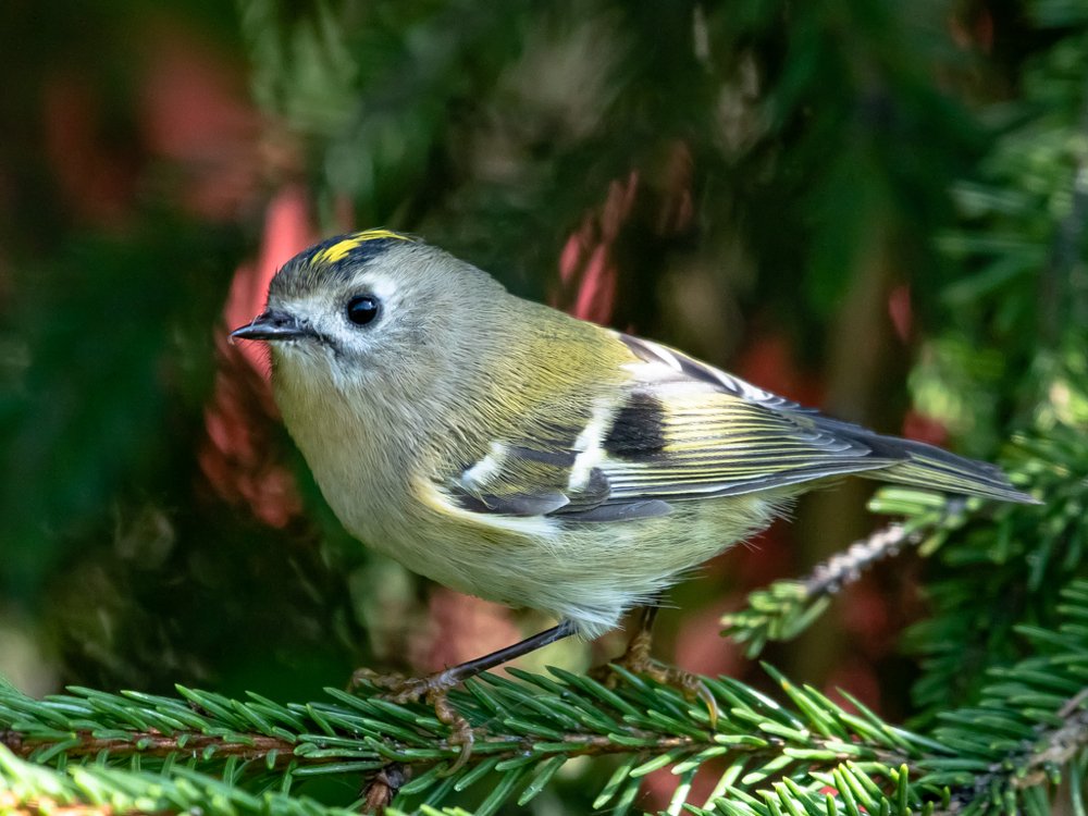 Photograph by Андрей Иванов