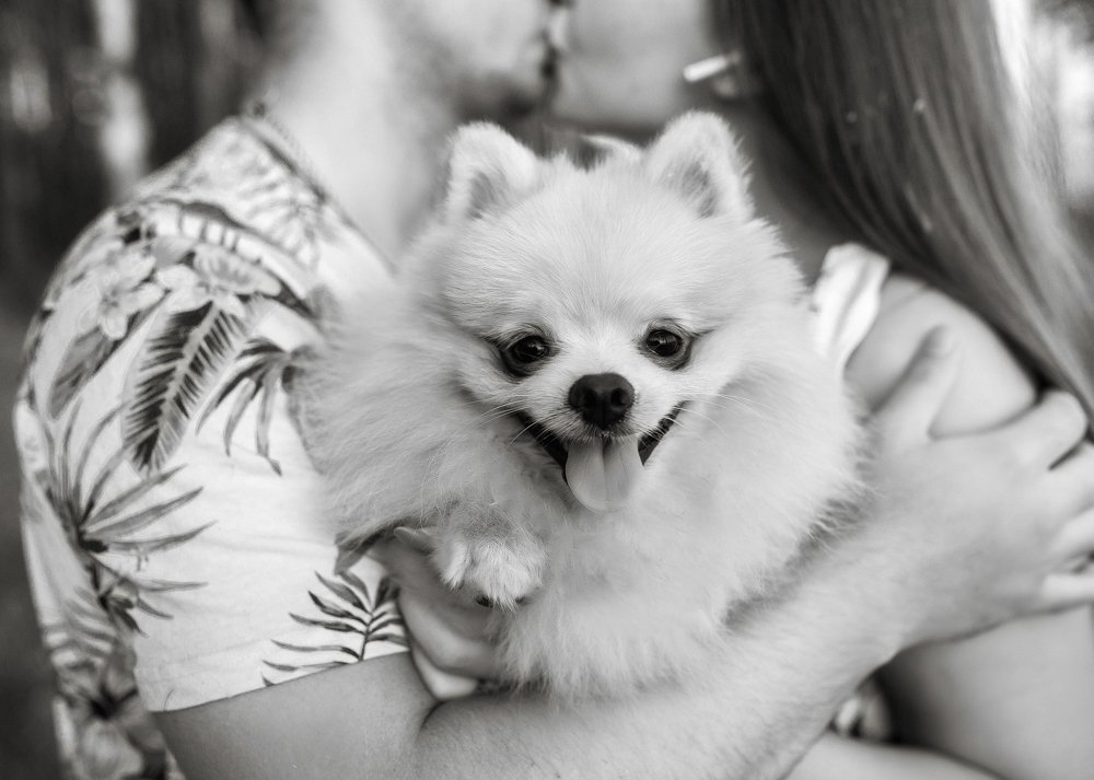 Photograph by Абрикосова