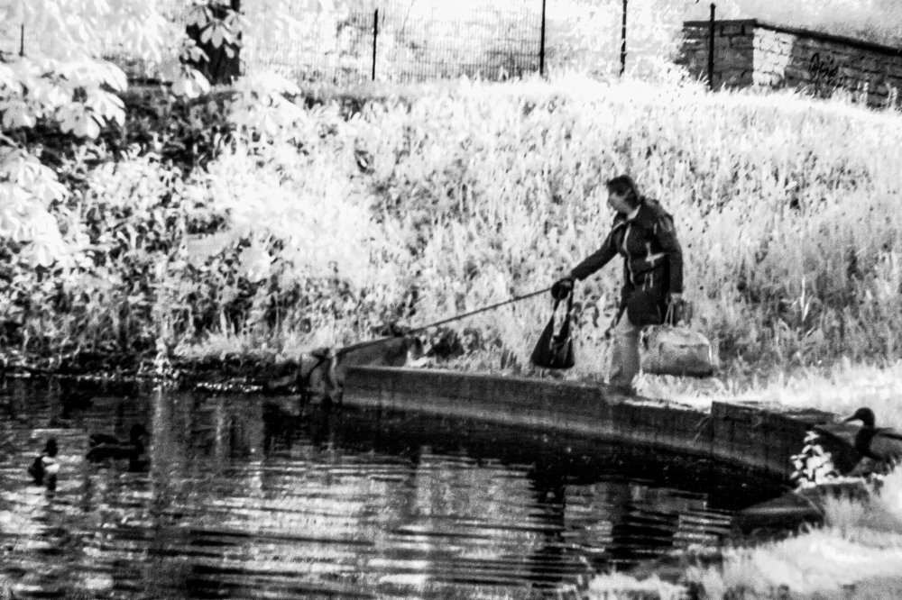 Photograph by Алексей Стрижаков