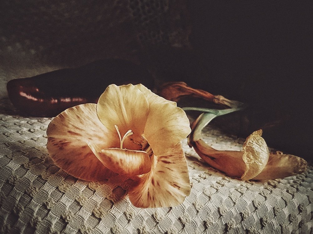 Photograph by Анна Нуразян