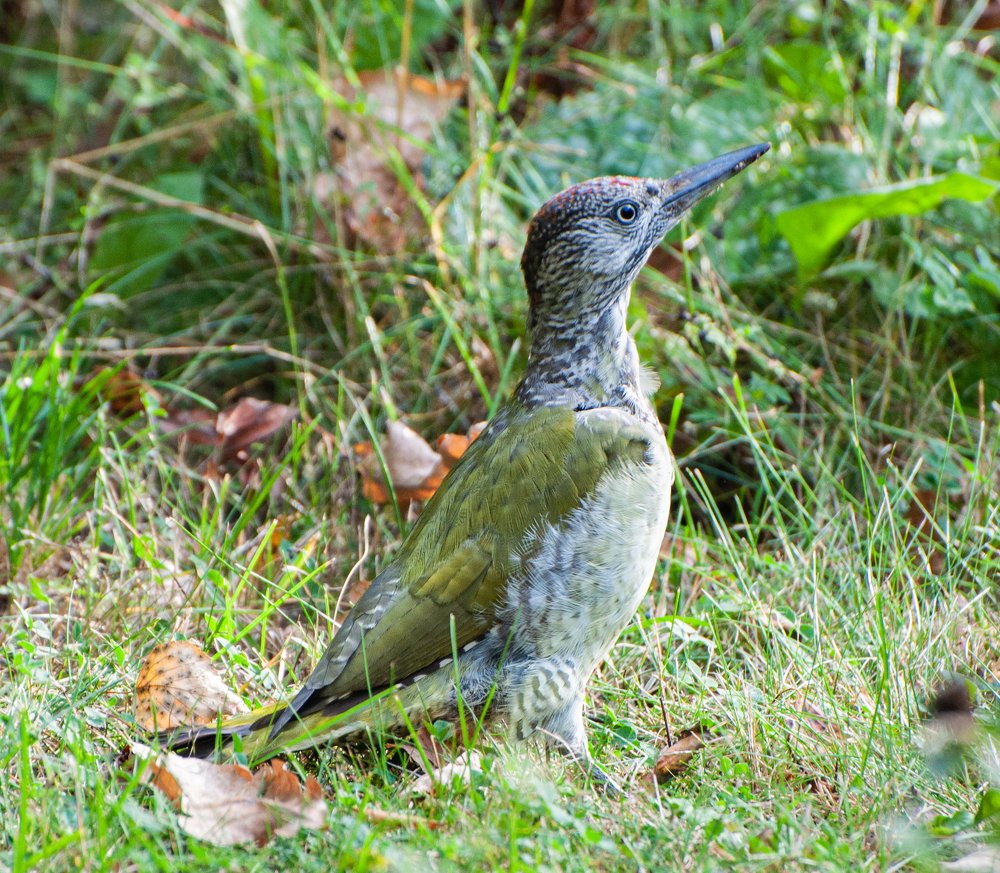 Photograph by Александр Алексеев