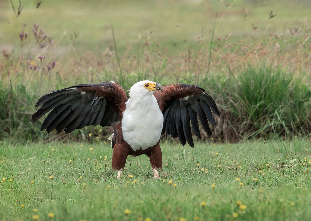 Photograph by  Анастасия Тимарг