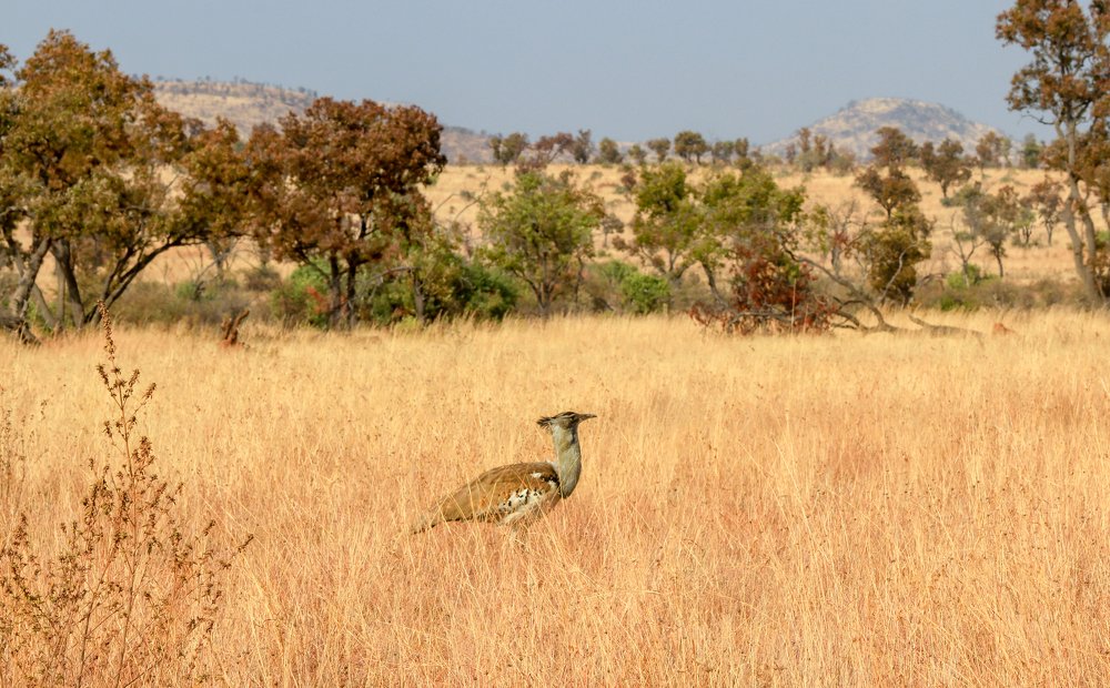 Photograph by  Анастасия Тимарг