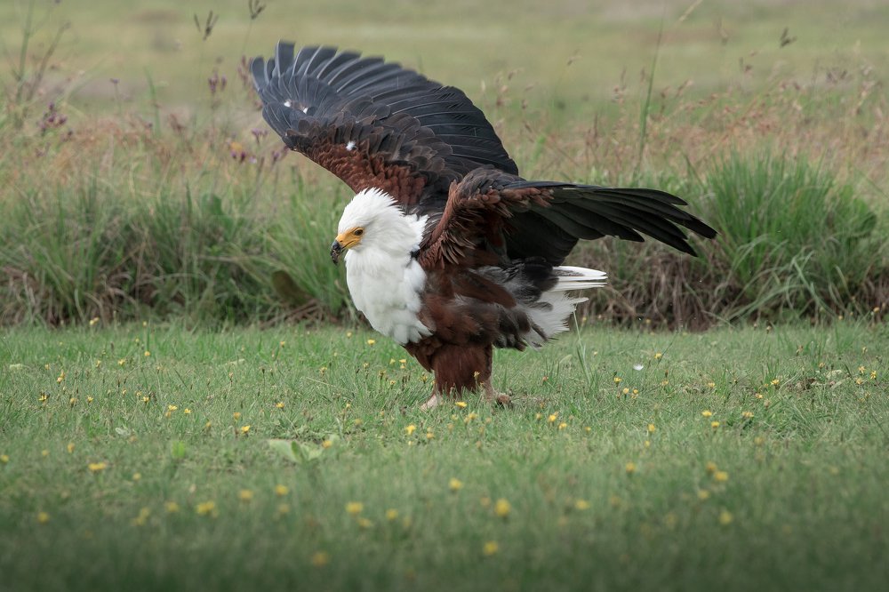Photograph by  Анастасия Тимарг