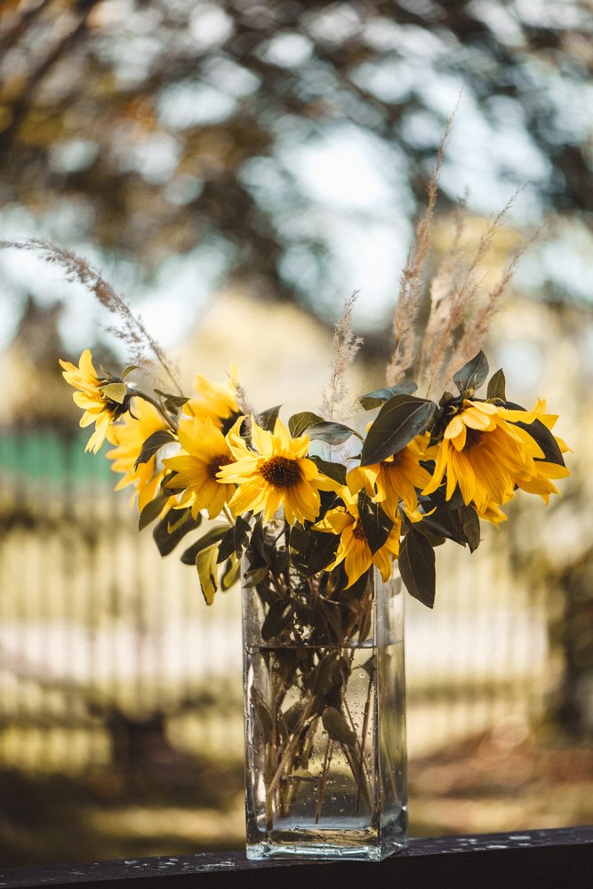 Photograph by Анастасия Амраева