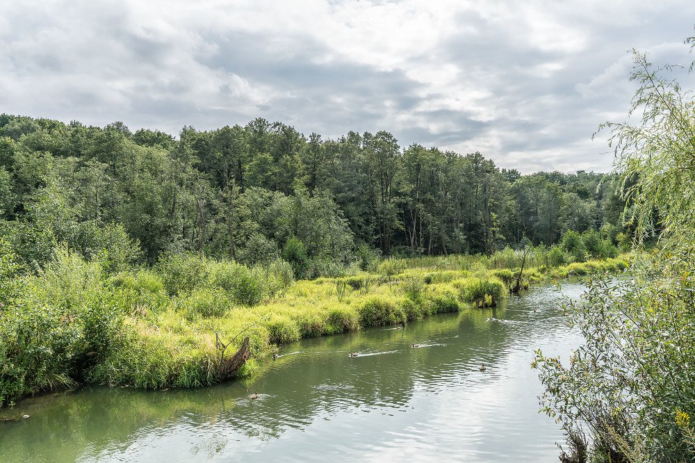 Photograph by Владимир Езеров