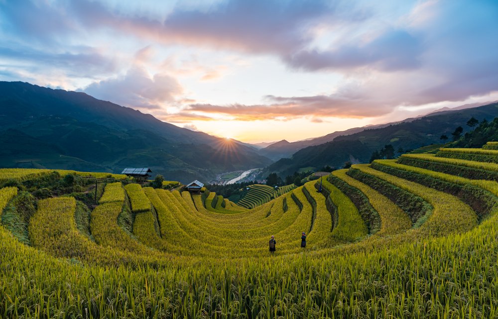 Фотография автора quach nam