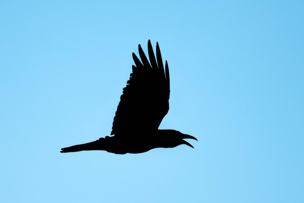 Photograph by Mohammed Elamine Belkhir