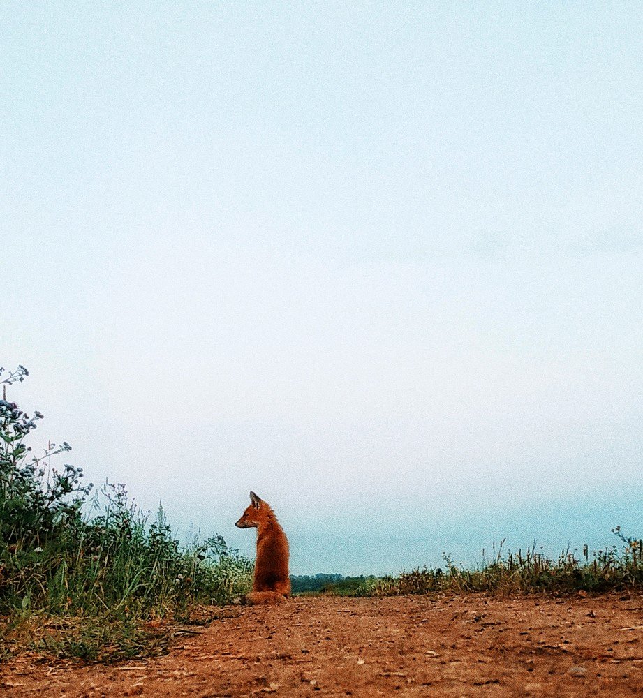 Photograph by Антон Е