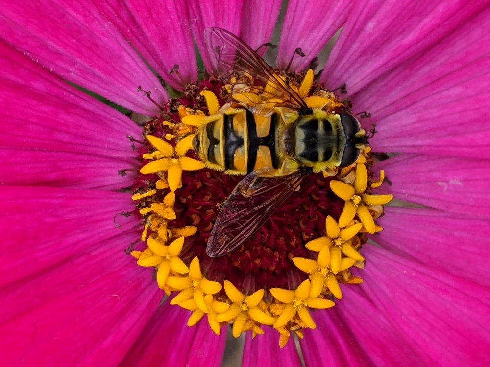 Photograph by Луиза Баширова