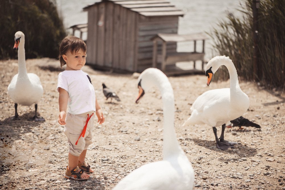 Photograph by Анастасия Амраева