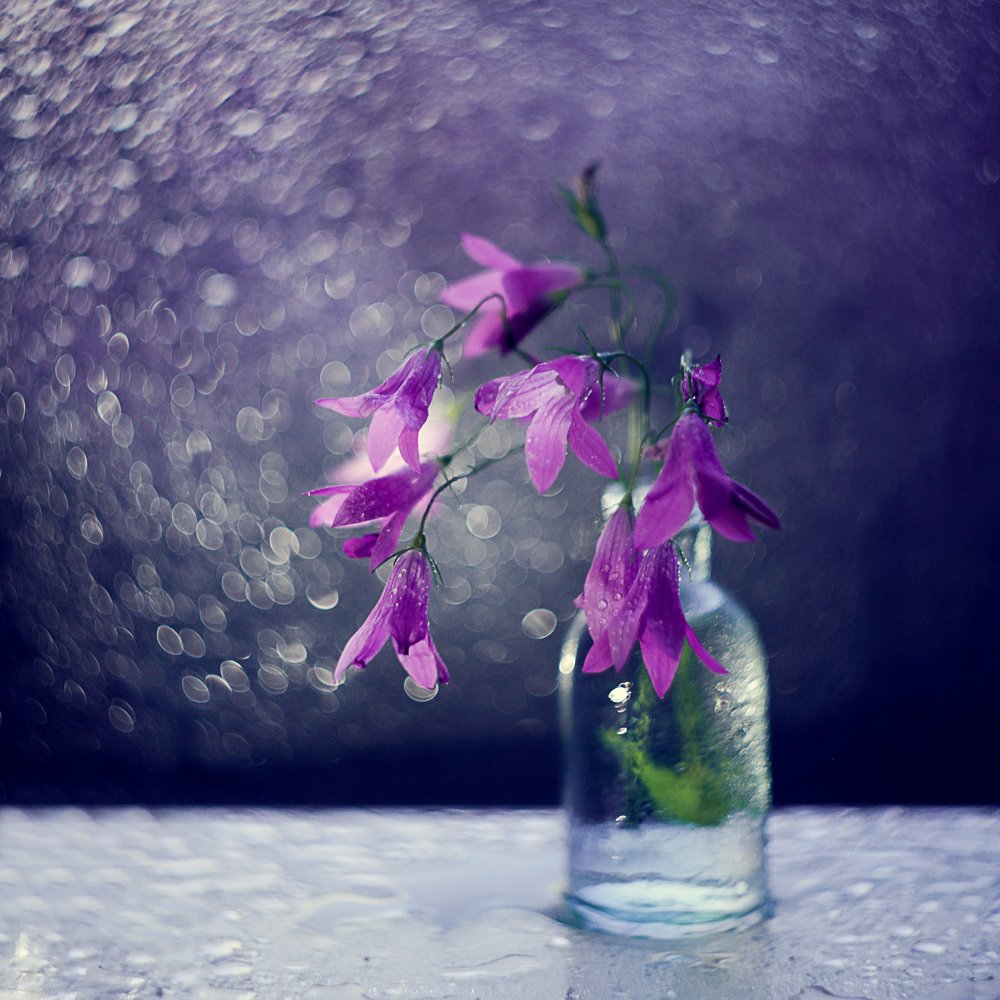 Photograph by Шаталина Оксана