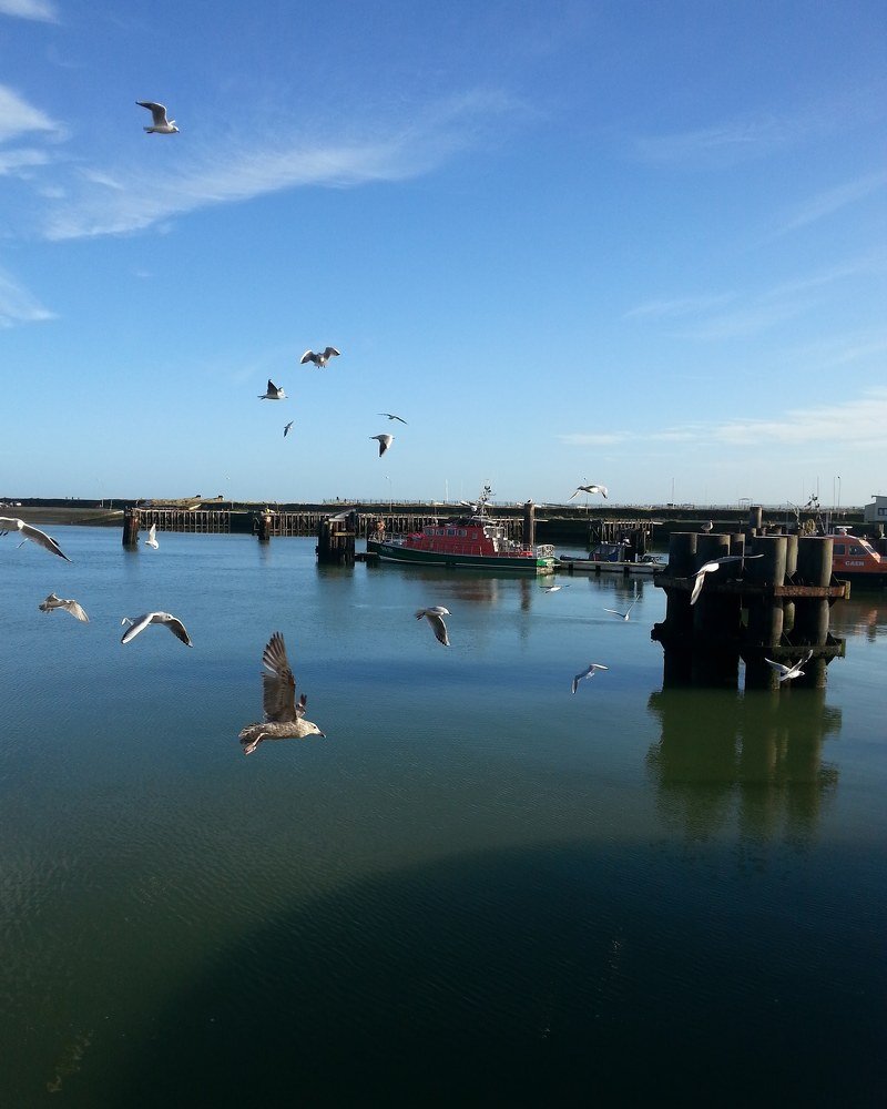 Normandie love this Land