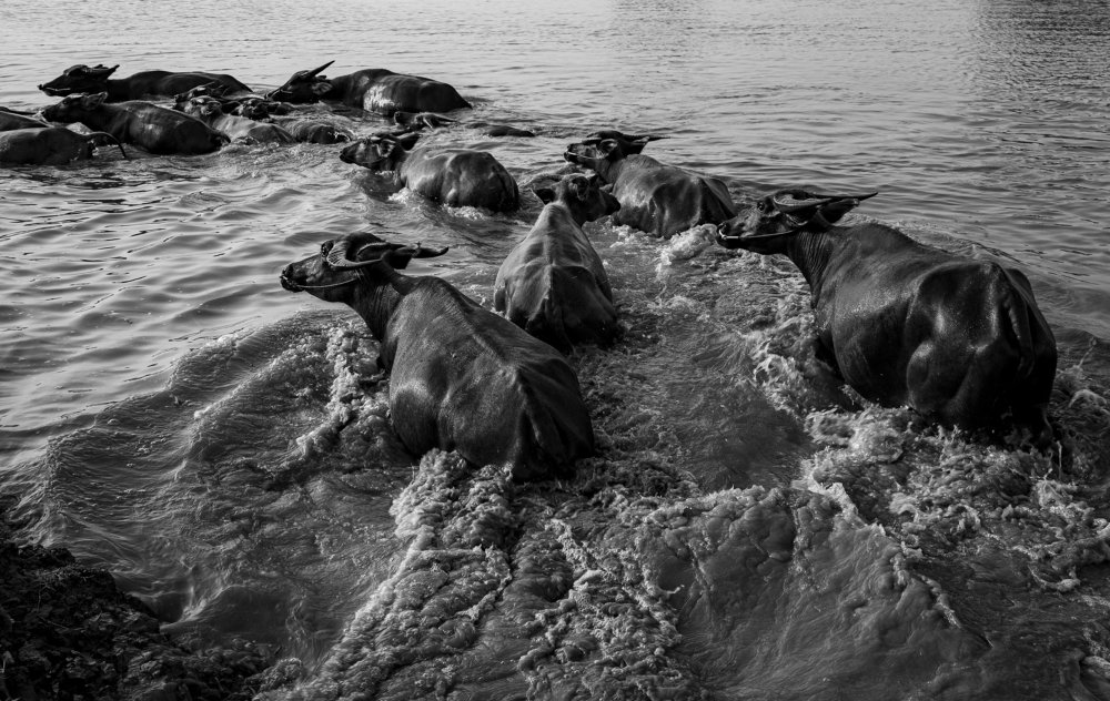 Фотография автора Đỗ Hà