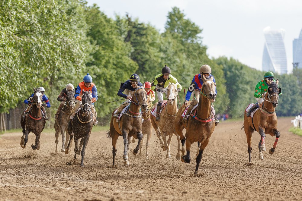 Photograph by Дмитрий Гурьянов