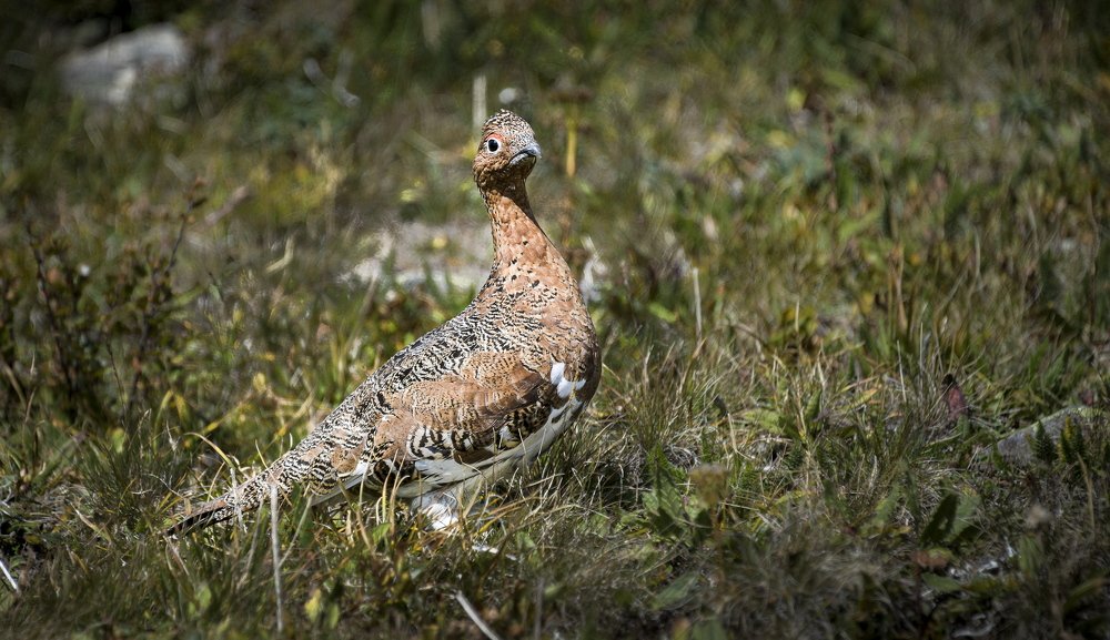 Photograph by Валентин Казанцев
