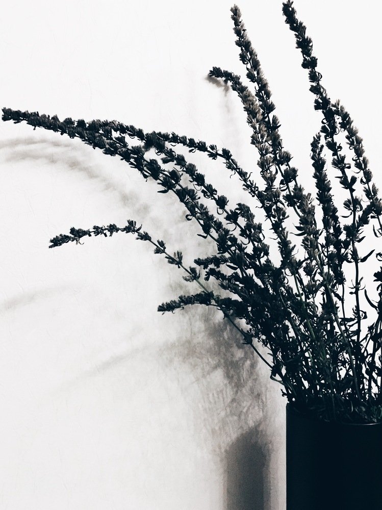 Photograph by Екатерина Черевата