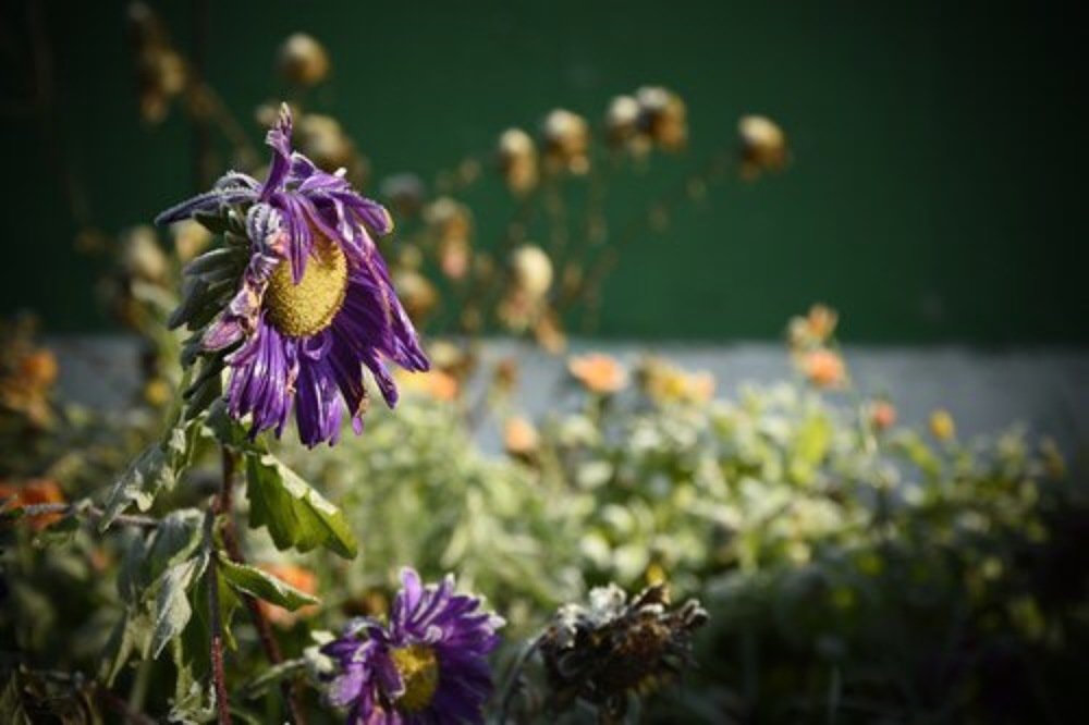 Неизбежность...