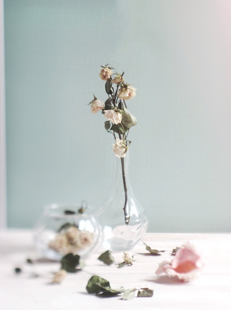 Photograph by Татьяна Запальская