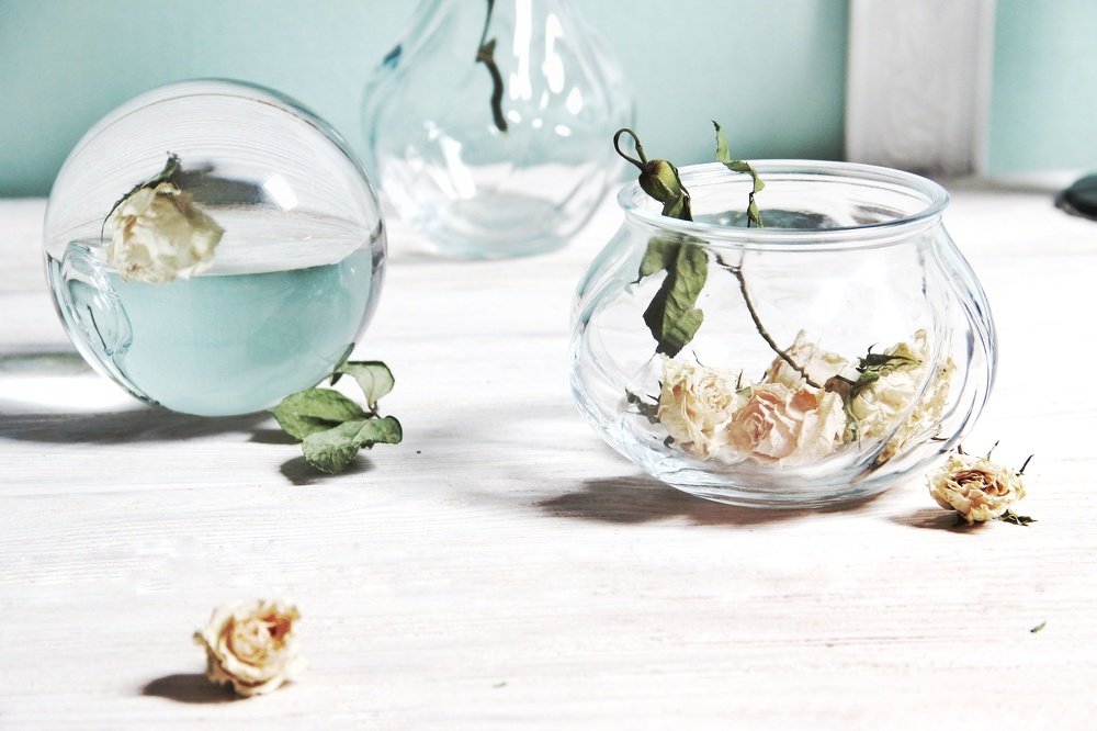 Photograph by Татьяна Запальская