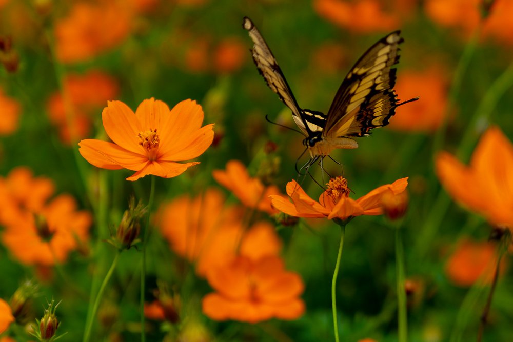 Photograph by Norberto Monagas