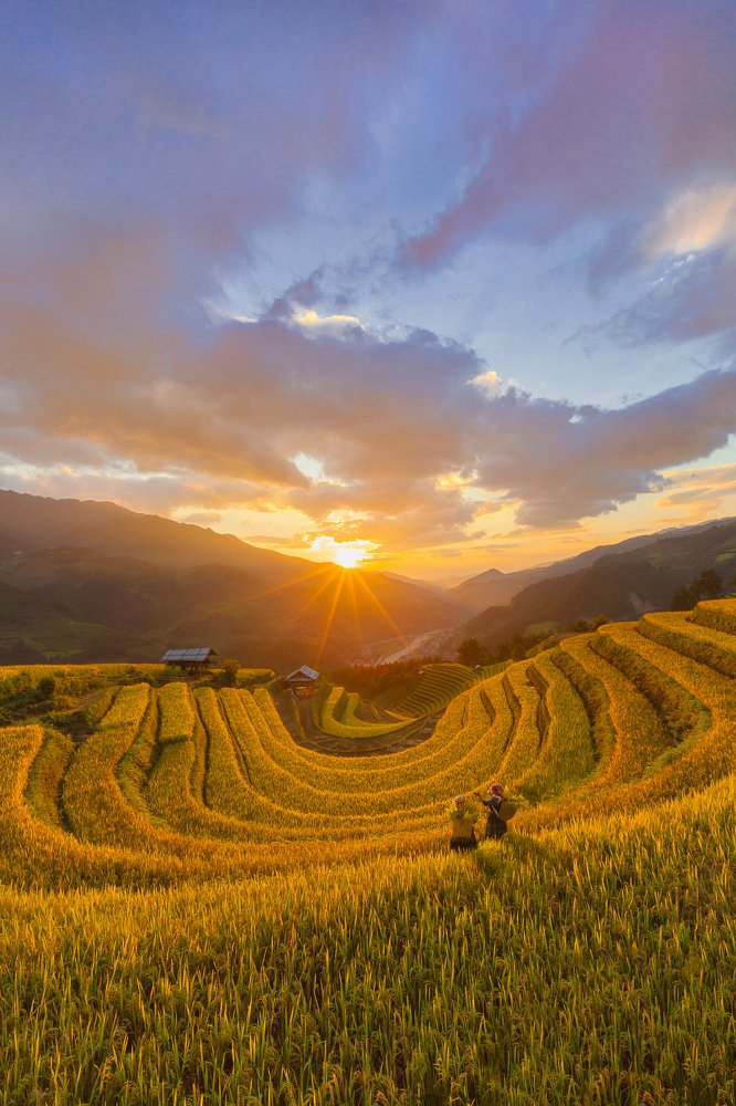 The last light on rice terrace