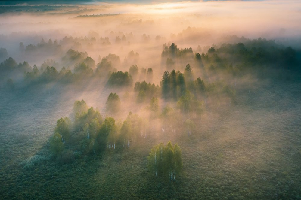 Проявка тумана