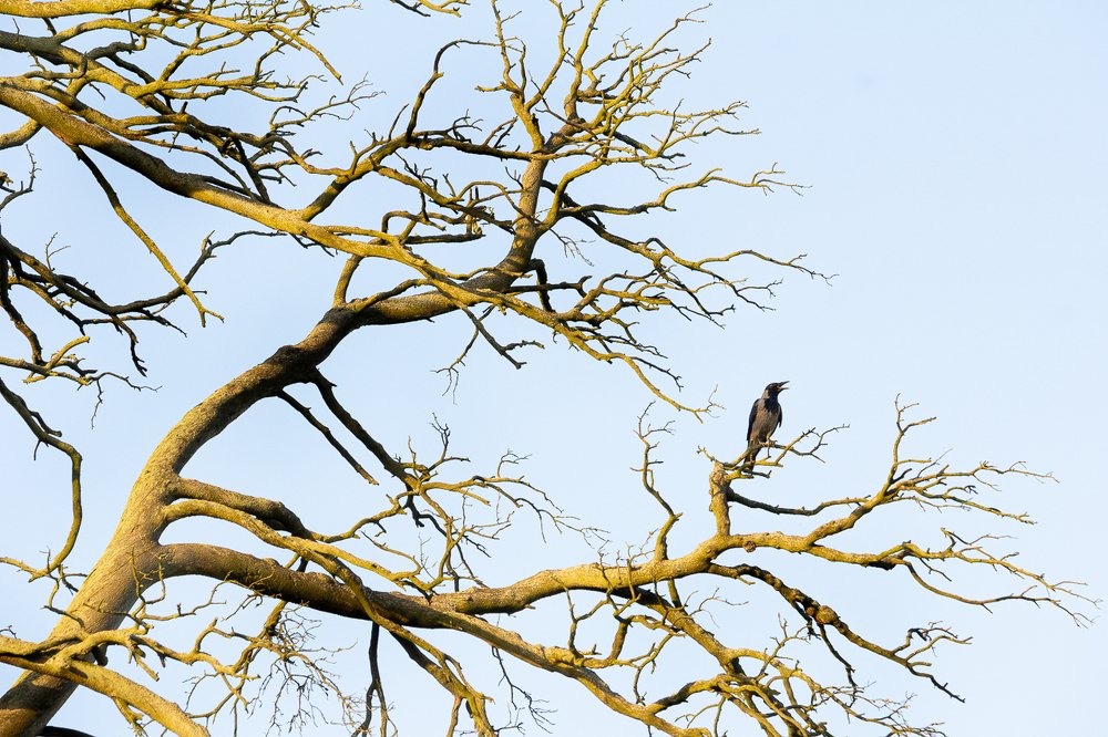 Photograph by Alexey Korolyov