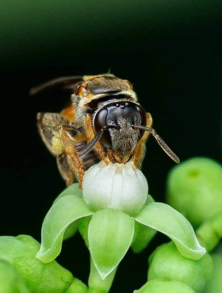 Photograph by Pinak Paul