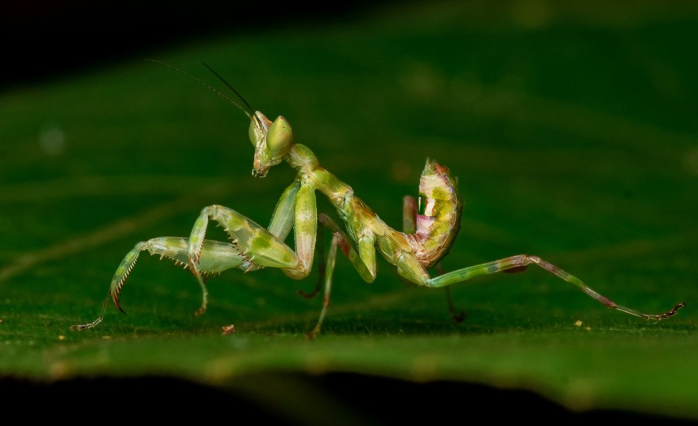 Photograph by Pinak Paul