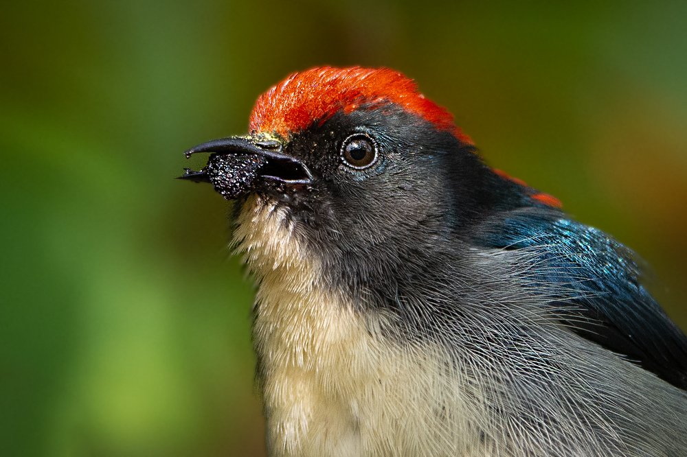 Photograph by Pinak Paul