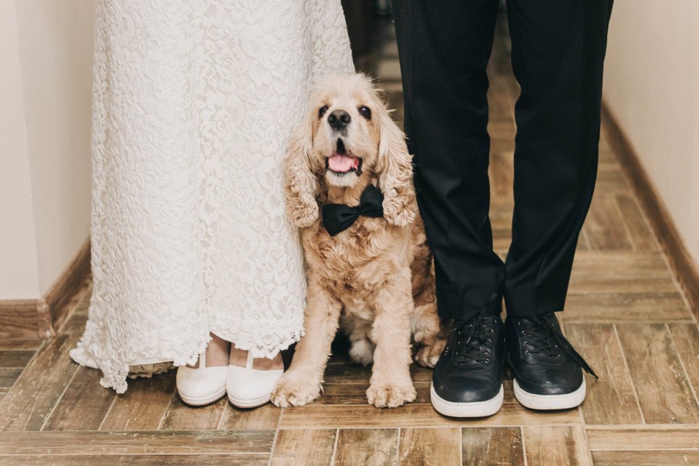 Фотография автора Екатерина