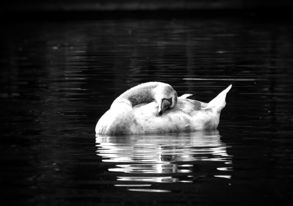 Inner peace!