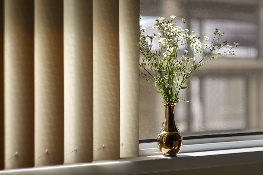 Photograph by Чунина Наталья