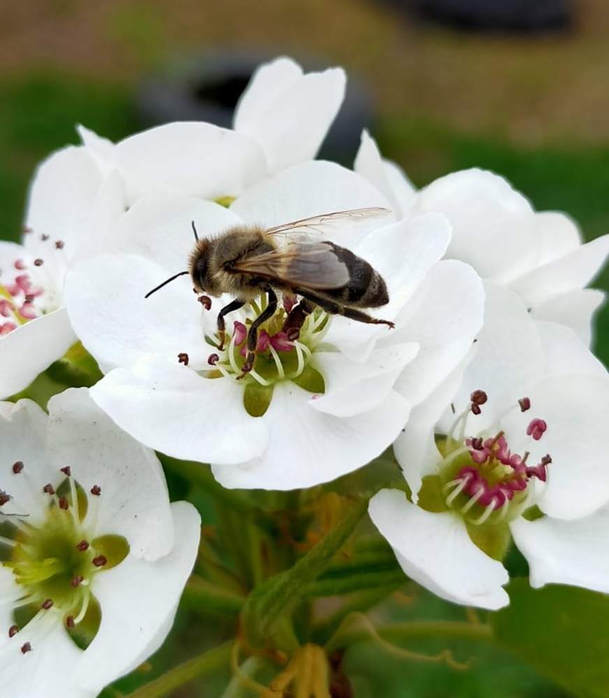 Photograph by Оксана Макарова