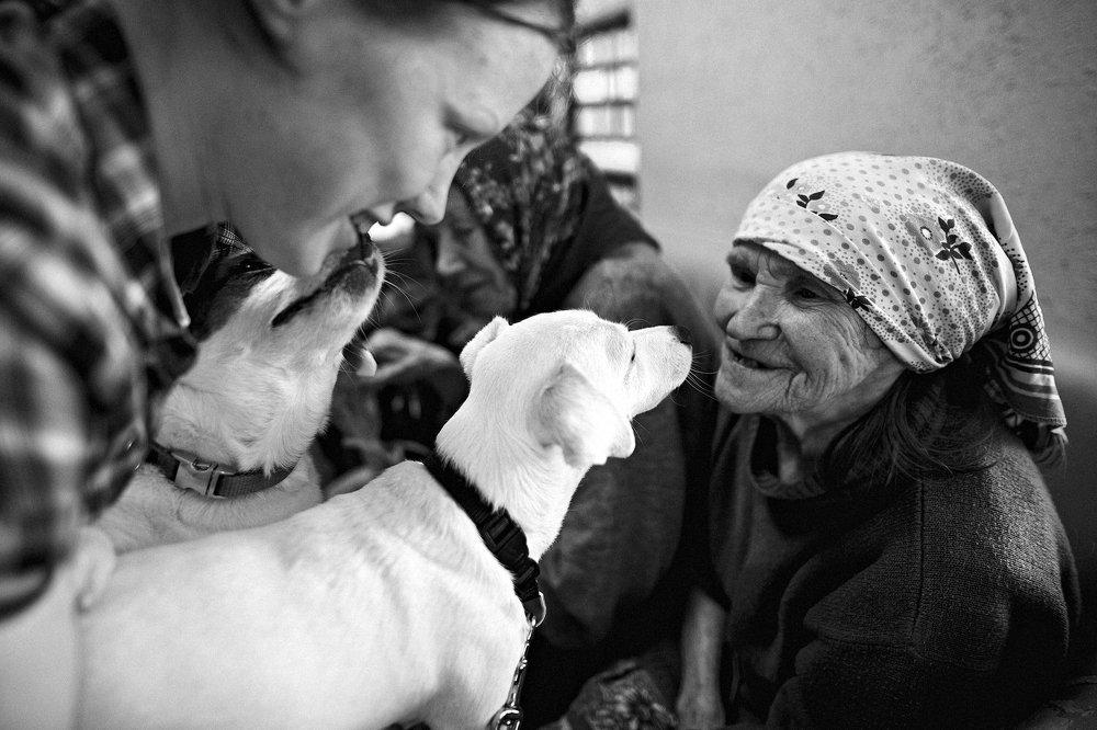 Photograph by Сергей Скоробогатов