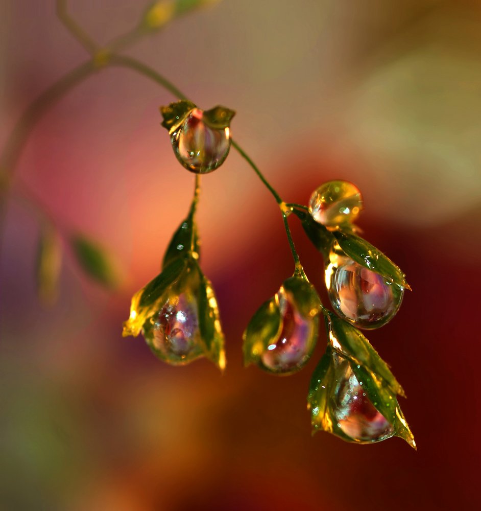 Фотография автора Tatiana Kadotschnikow