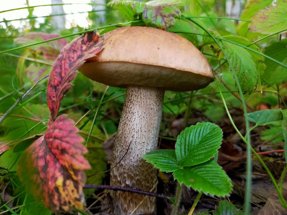 Photograph by Оксана Макарова