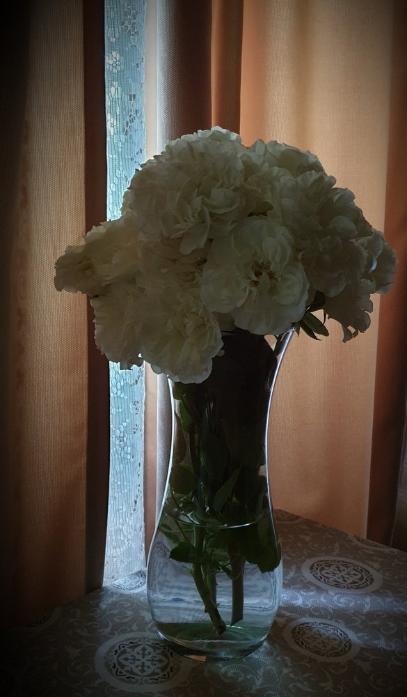 Photograph by Полина