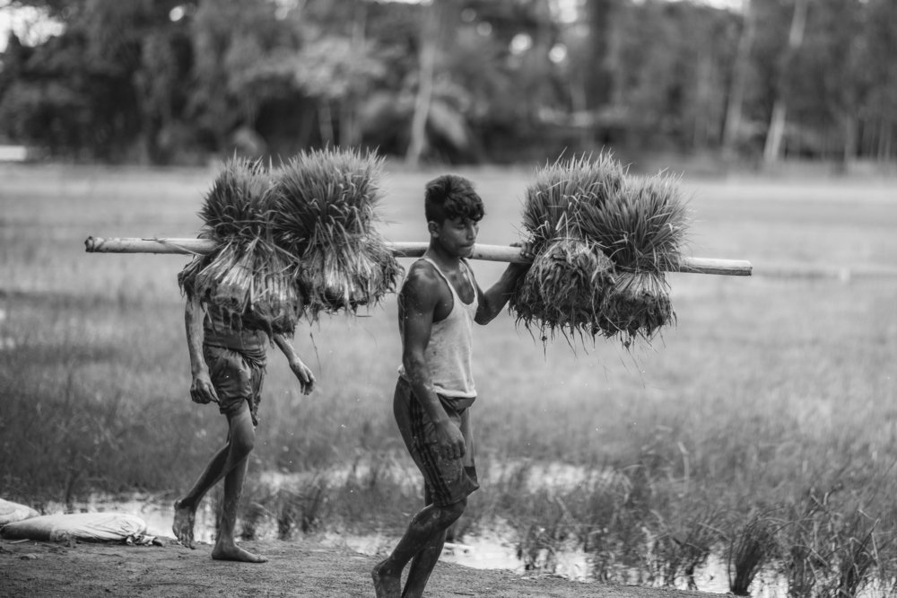 Photograph by Najmul Huda