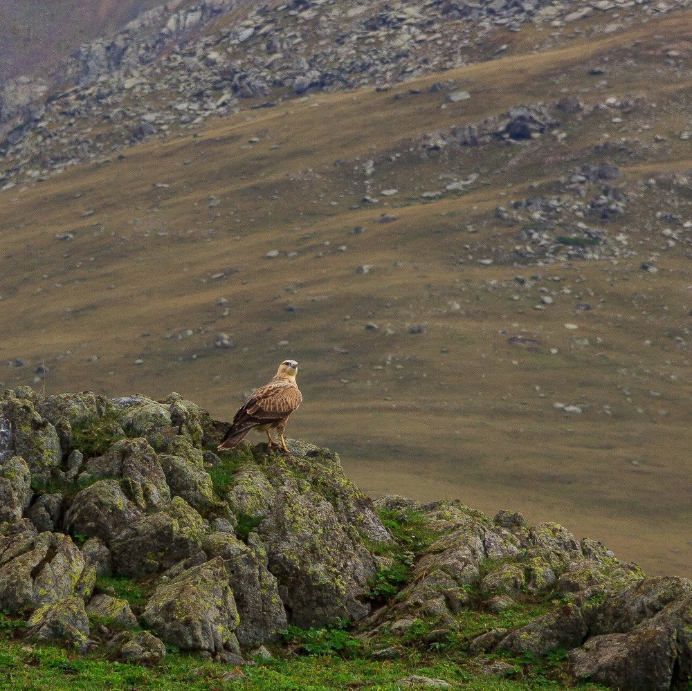 Фотография автора Василий Михайлин