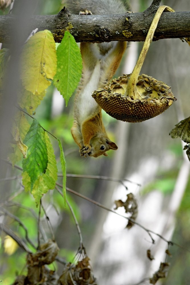 Photograph by Алексей Козлов