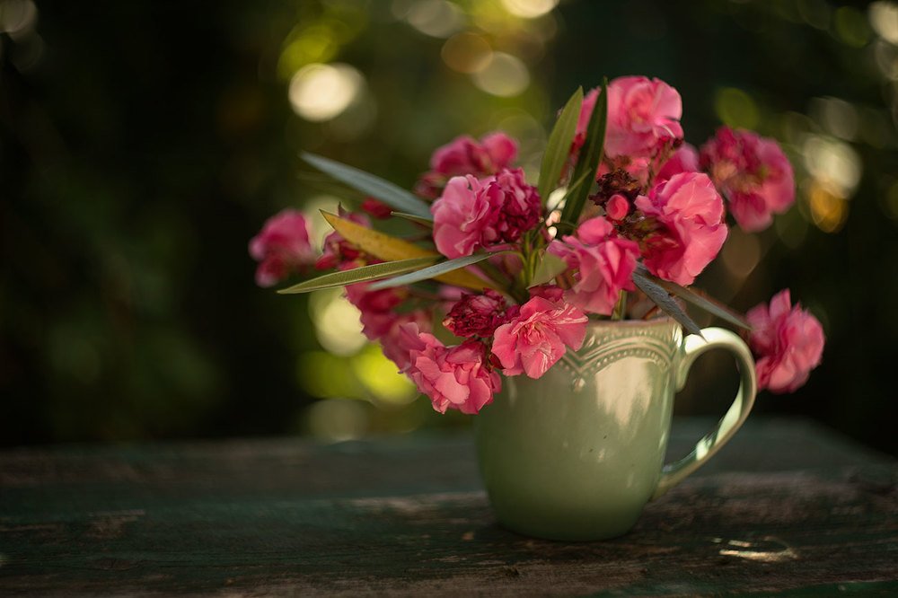 Photograph by Марго Лимп