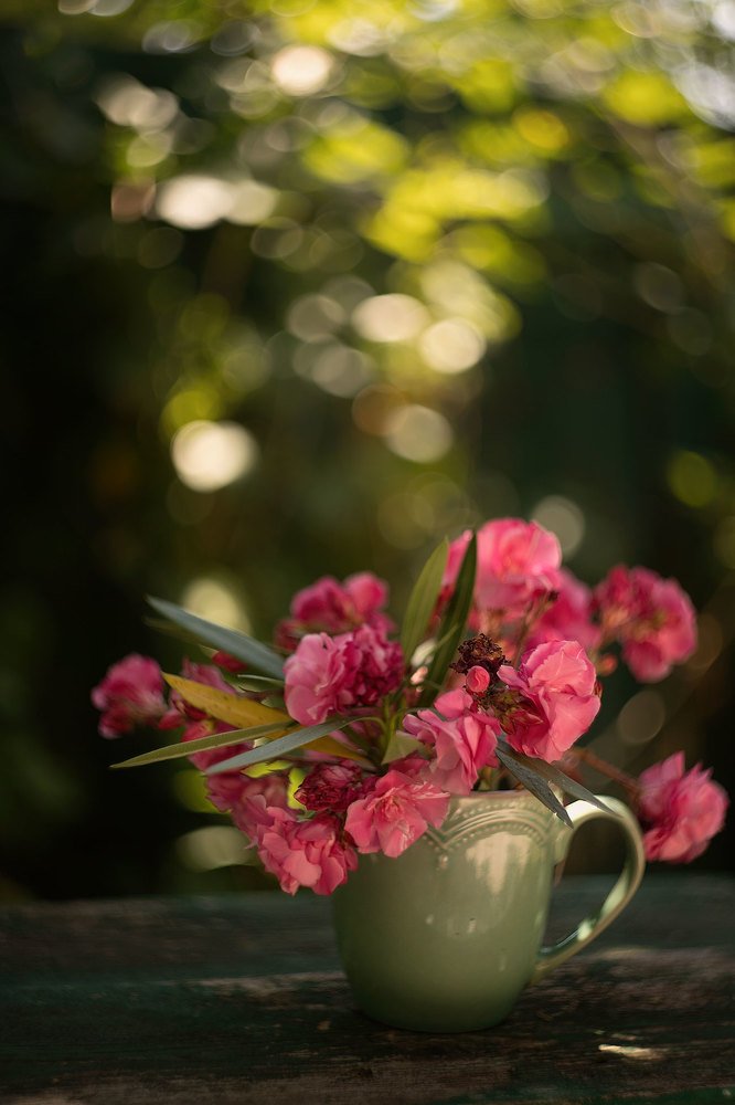 Photograph by Марго Лимп