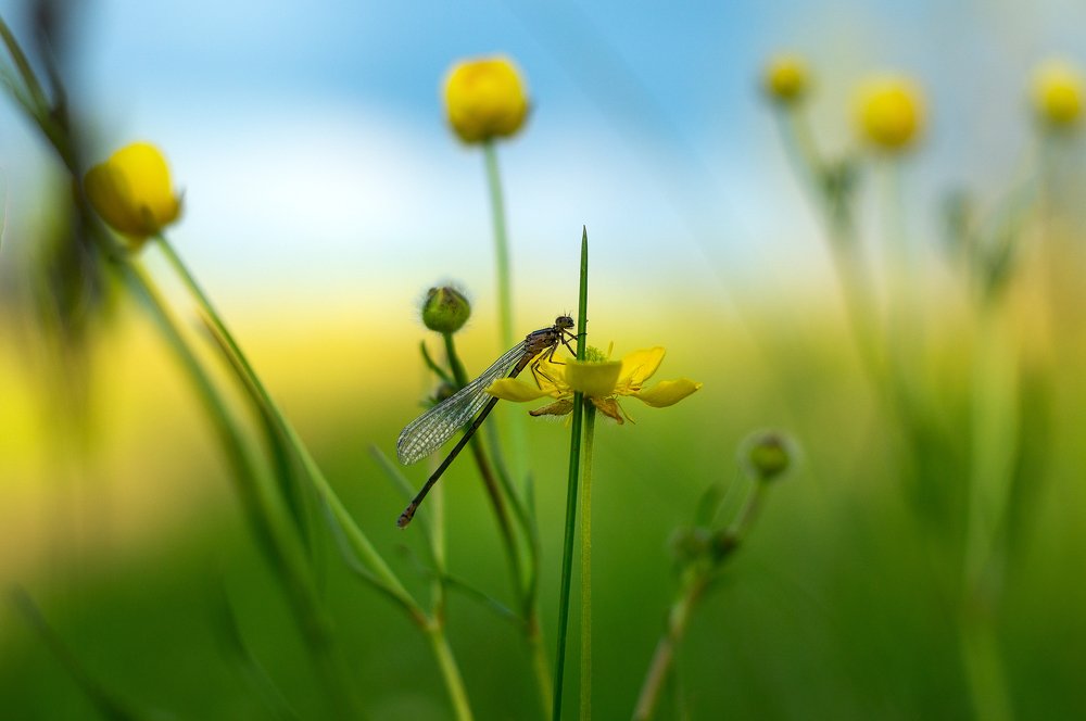 Photograph by Юрий Москалев