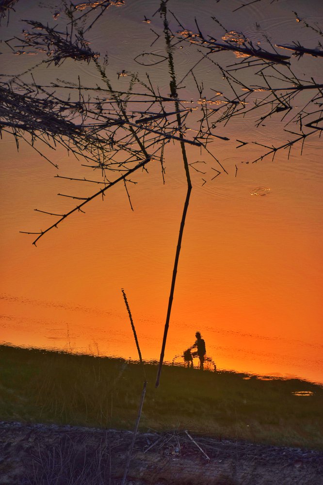 Lonely man with a bicycle