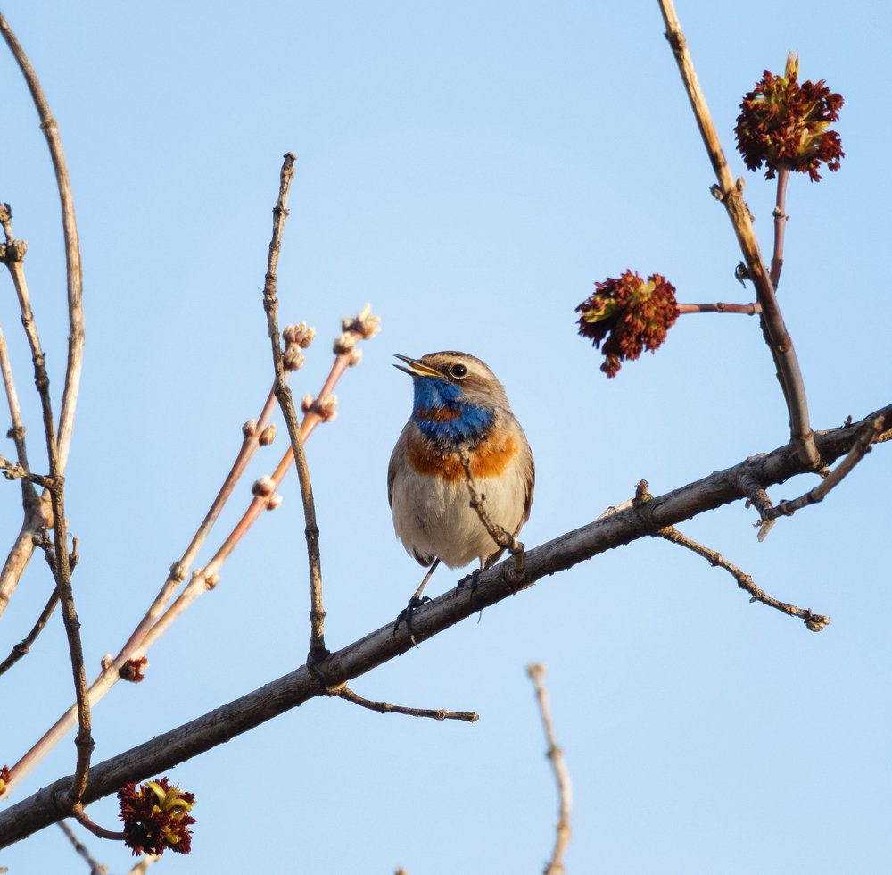 Photograph by Елена Ржевская