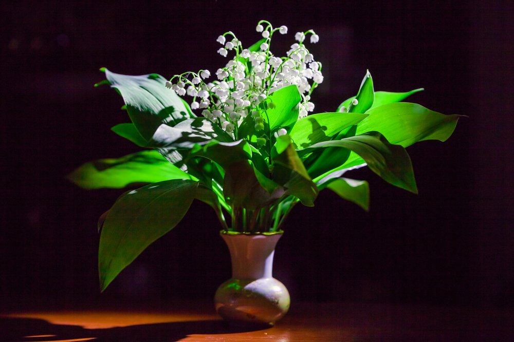 Photograph by Дмитрий